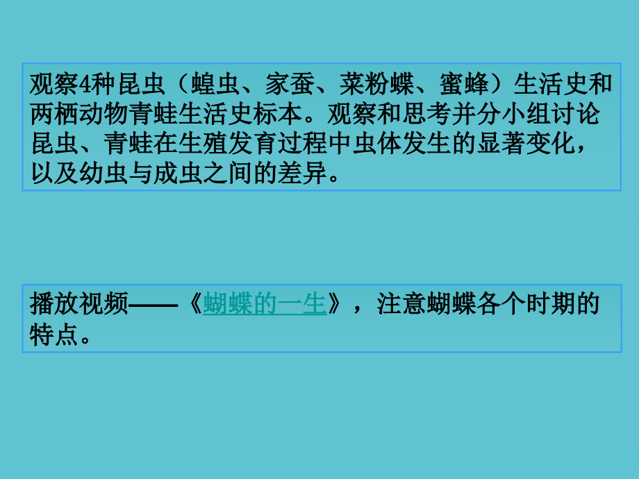 京改初中生物八上动物的生殖与发育.ppt_第2页