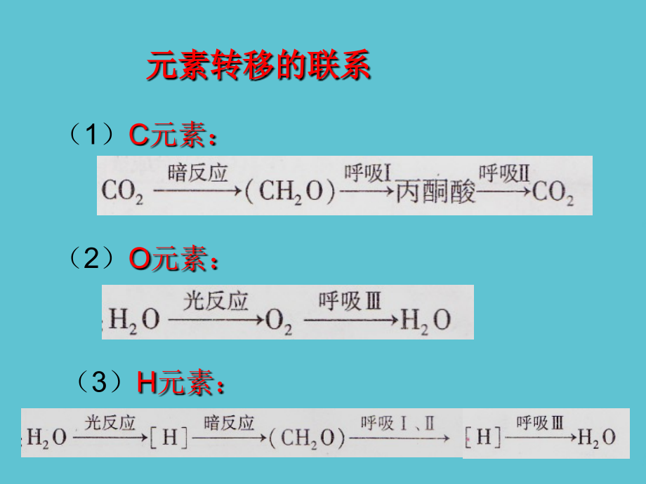 高三生物光合作用和呼吸作用联系.ppt_第2页