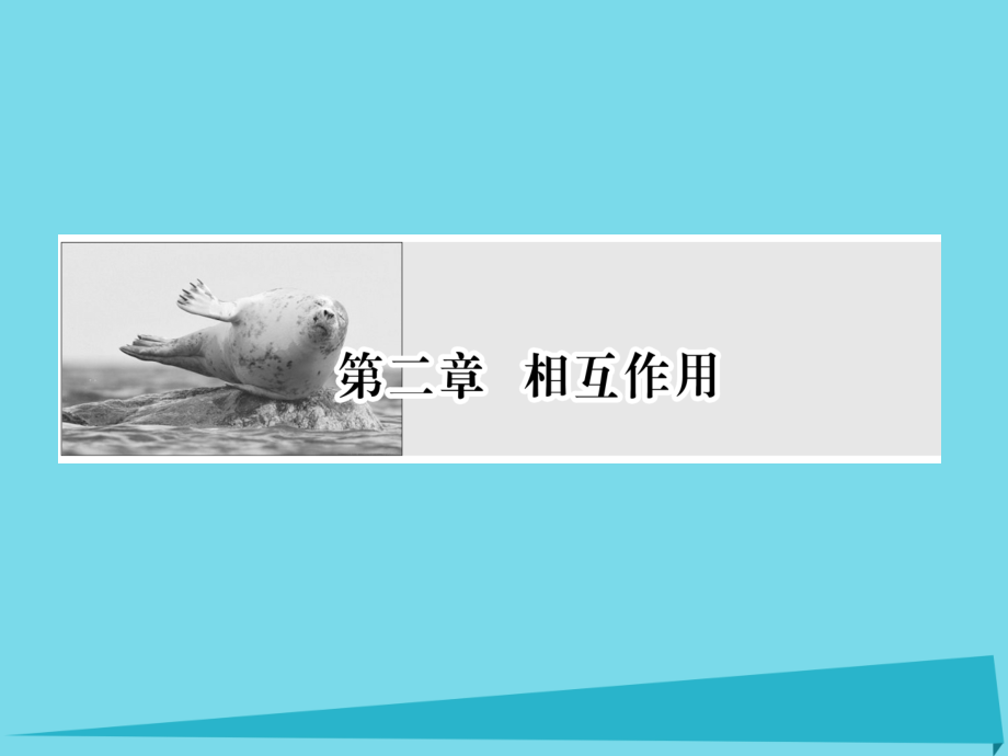 2019届新课标高考物理一轮复习第二章相互作用第1讲重力弹力讲义.ppt_第1页