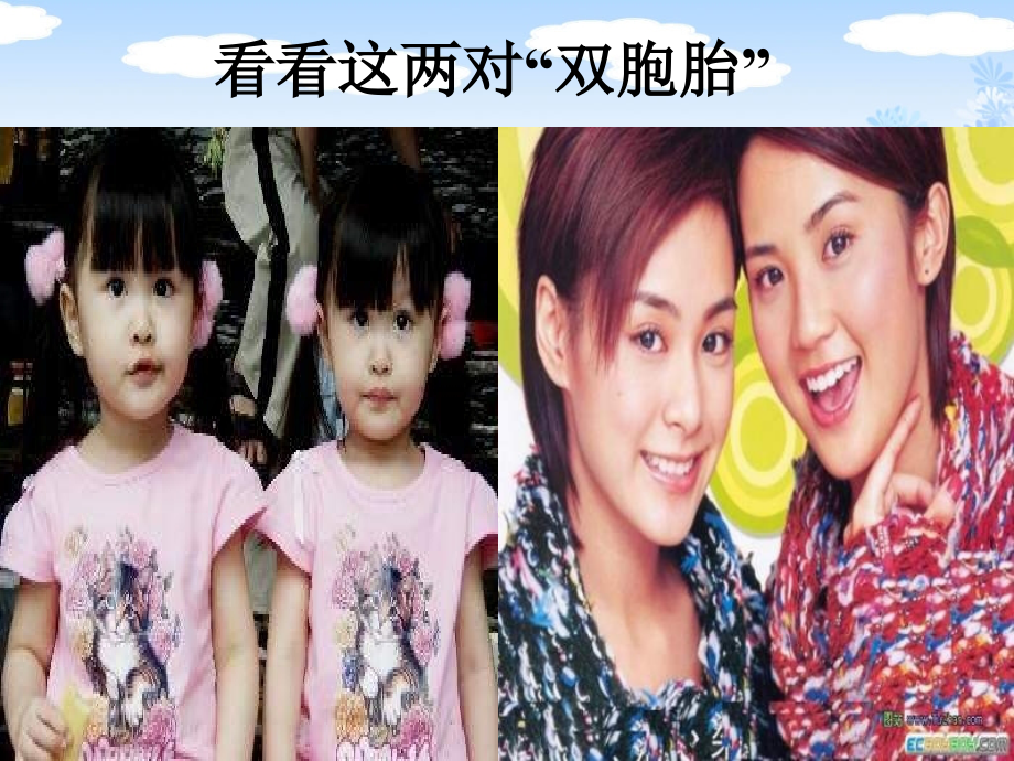 七年级政治人类生命的独特性.ppt_第2页