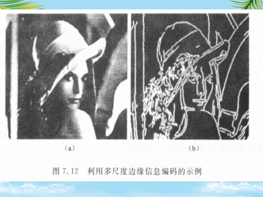 高等数字信号处理小波变换.ppt_第2页
