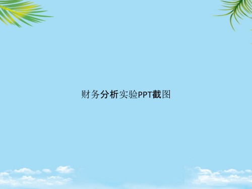财务分析实验PPT截图.pptx