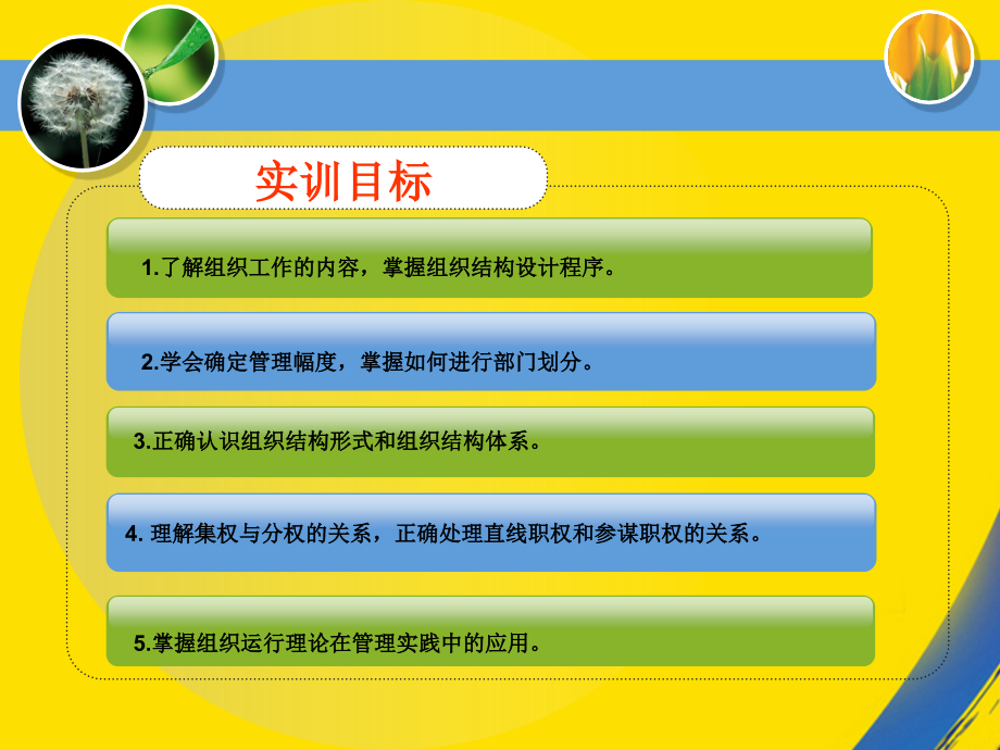 组织实训与练习.ppt_第2页