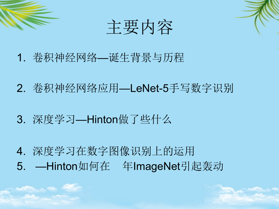 详解卷积神经网络.ppt_第2页