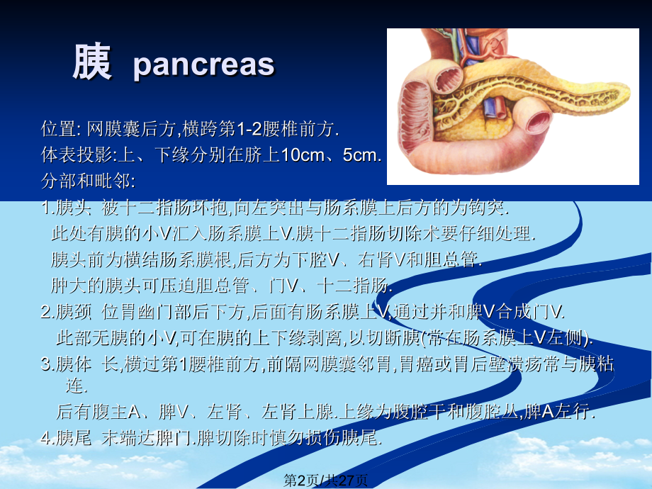 腹膜后腔.pptx_第2页