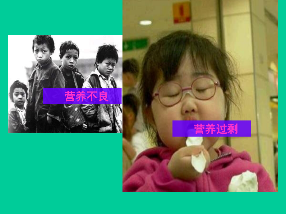 教科小学科学四级下册食物中的营养汇总.ppt_第2页