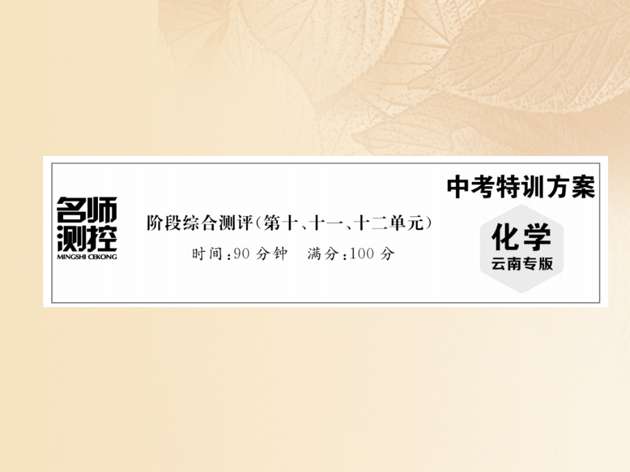 2019届云南专版中考化学复习阶段综合测评第十十一十二单元讲义.ppt_第1页
