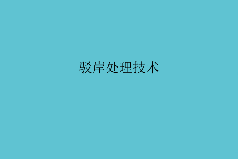 驳岸处理技术.ppt_第1页