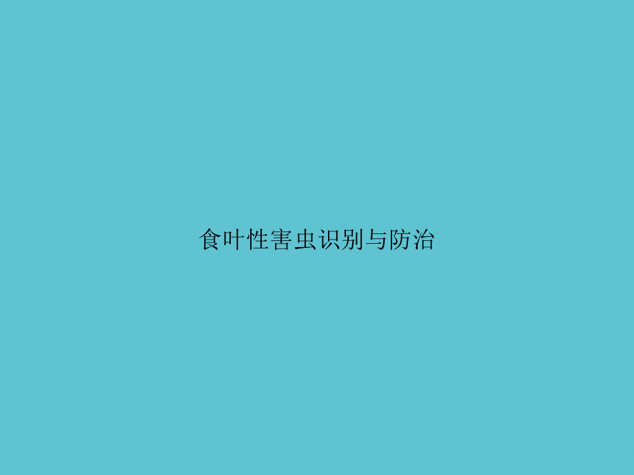 食叶性害虫识别与防治.ppt_第1页