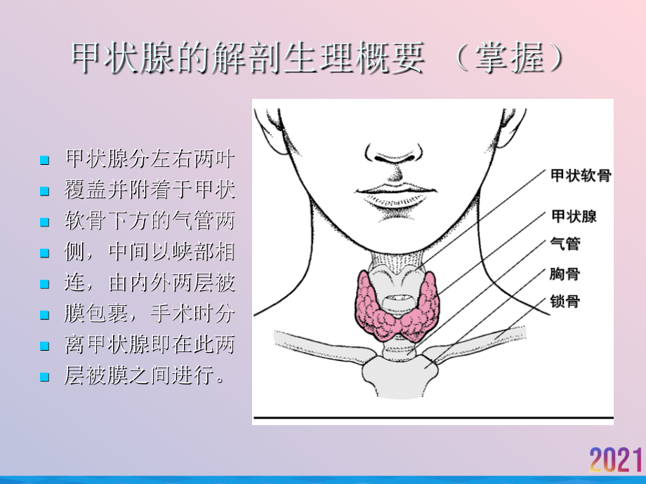 甲状腺疾病病人的.ppt_第2页