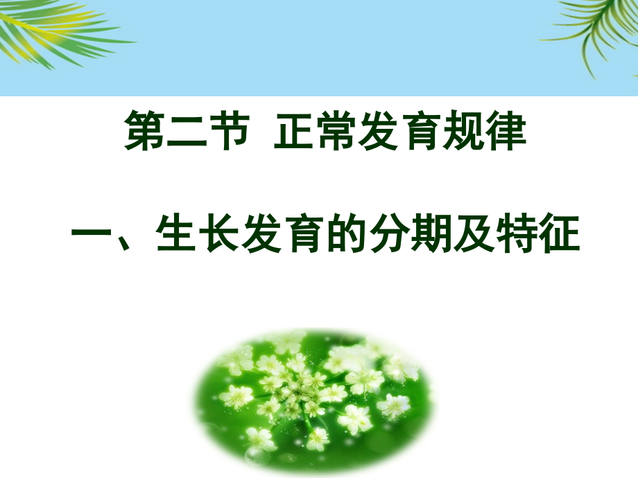 人体发育学概论.ppt_第2页