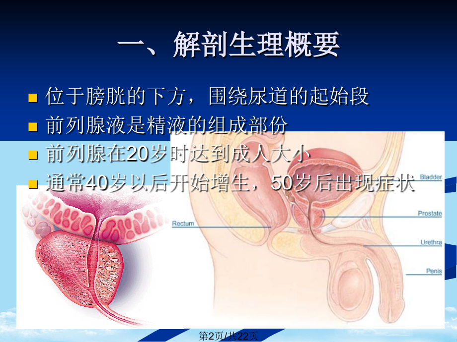 尿路梗阻.pptx_第2页