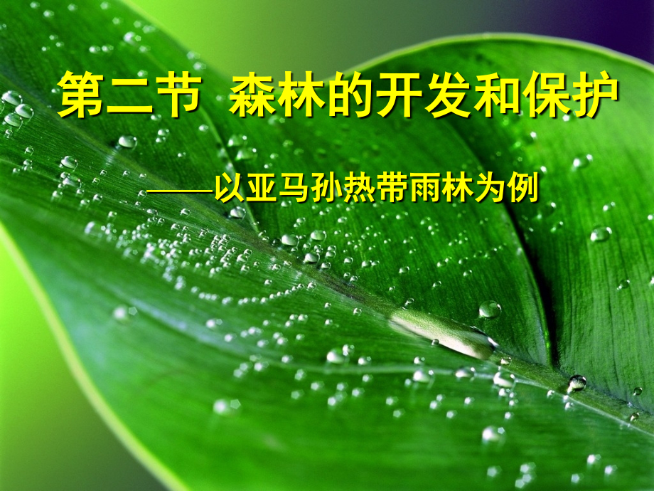 森林的开发和保护+.ppt_第1页