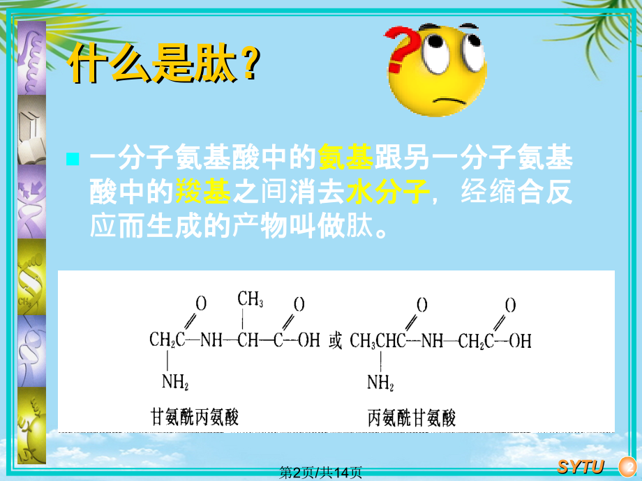 活性肽类.pptx_第2页