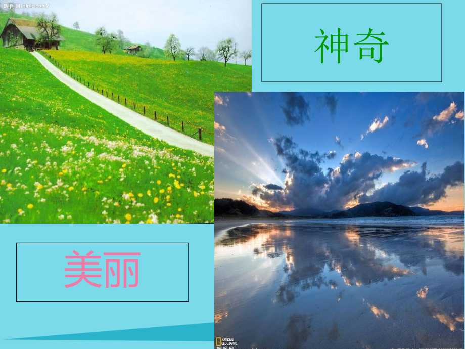 2019-2020学年一年级美术上册第2课壮观的大世界课件岭南版.ppt_第2页