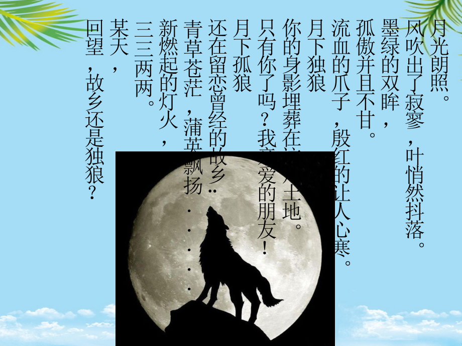 读书心得体会狼王梦.pptx_第2页