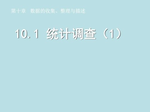 十章-统计调查公开课图文.ppt