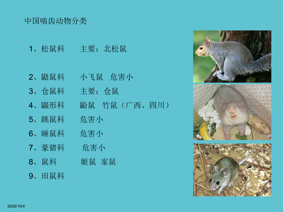 防鼠光缆解决方案.ppt_第2页