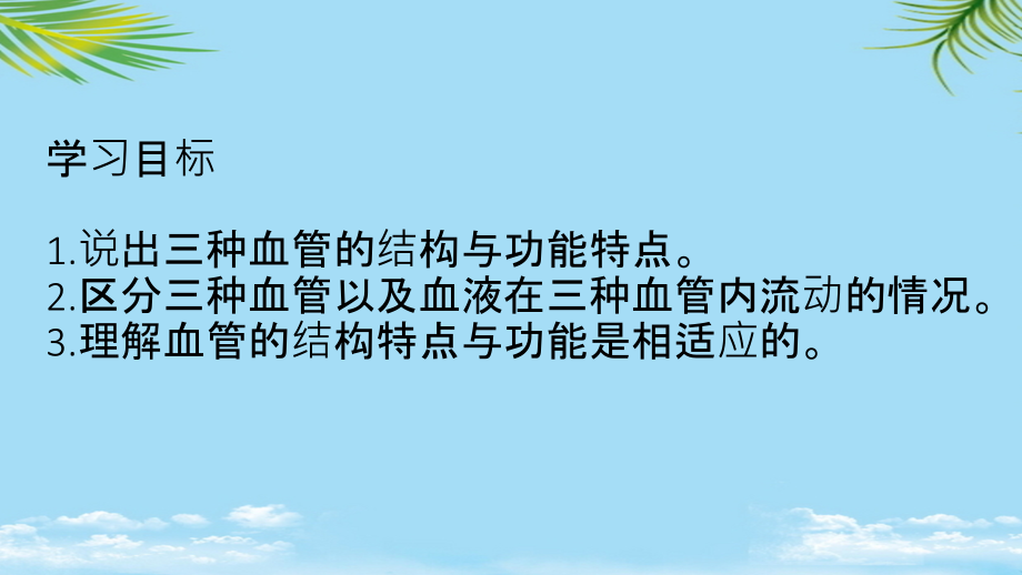 血流的管道血管人教.ppt_第2页