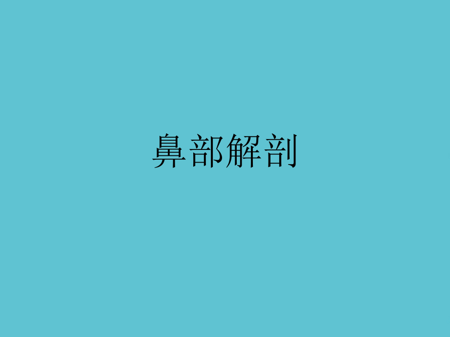 鼻部解剖.ppt_第1页