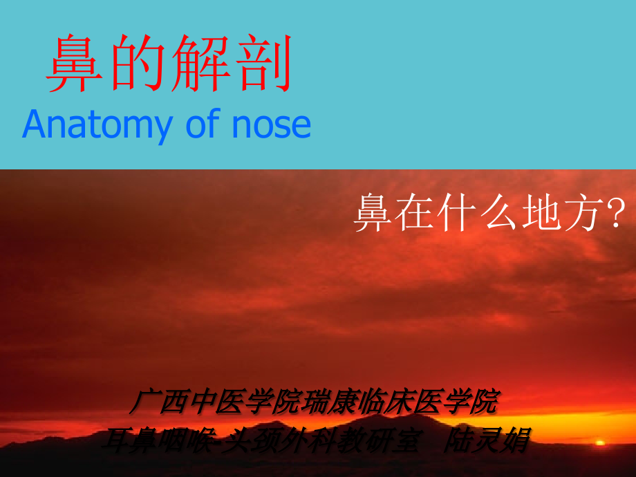 鼻部解剖.ppt_第2页