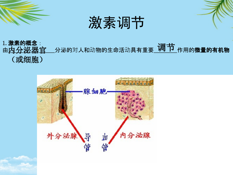 通过激素的调节最终.ppt_第2页