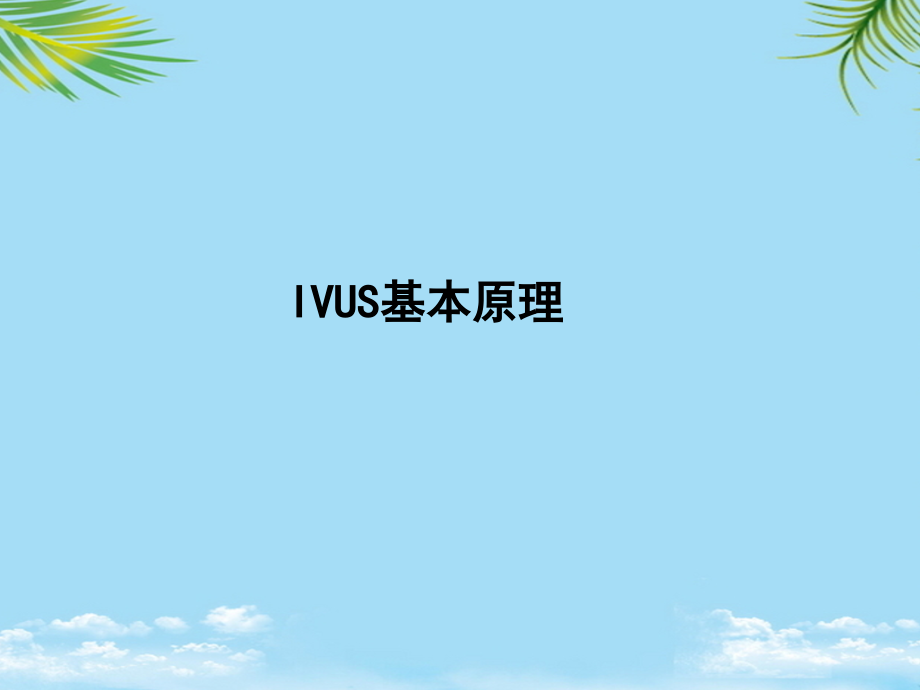 血管内超声IVUS简介.ppt_第2页