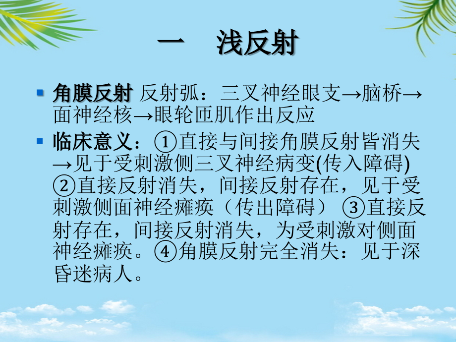 诊断学基础神经反射检查.ppt_第2页