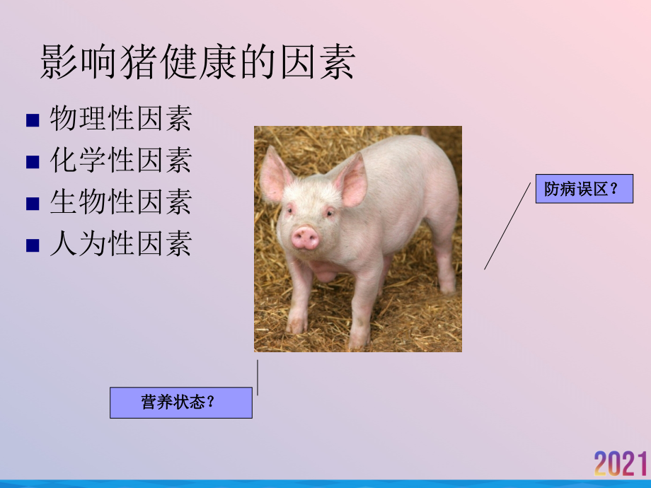 猪蓝耳病水疱病猪肺疫猪腹泻.ppt_第2页