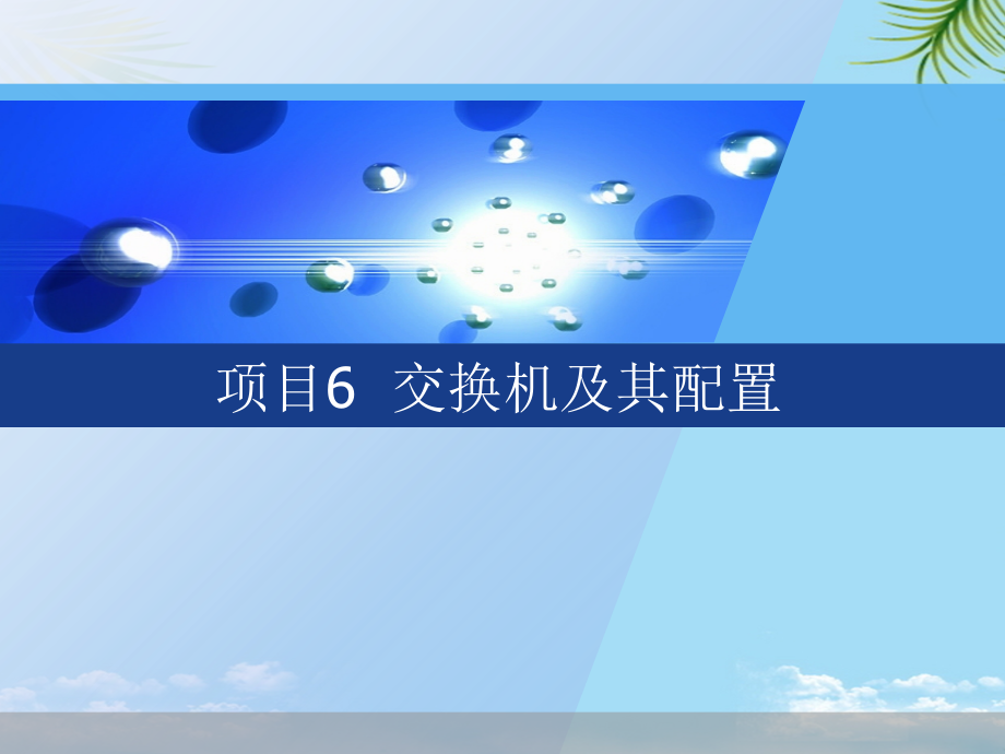项目虚拟局域网的实现.ppt_第1页