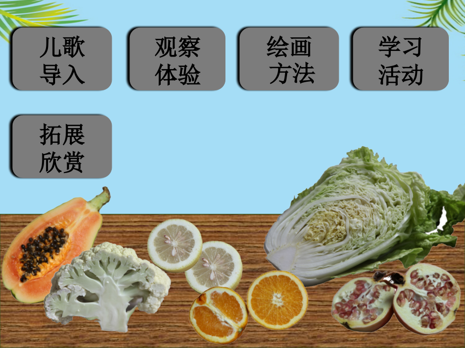 蔬果的剖面.ppt_第2页