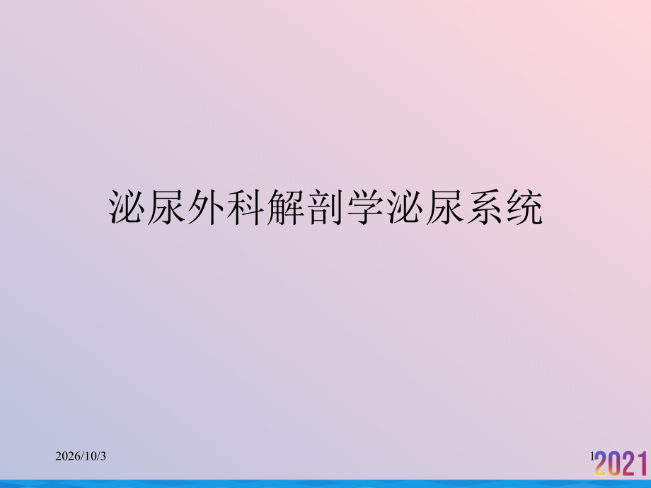 泌尿外科解剖学泌尿系统.ppt_第1页