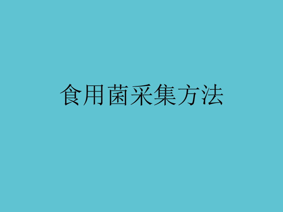 食用菌采集方法.ppt_第1页
