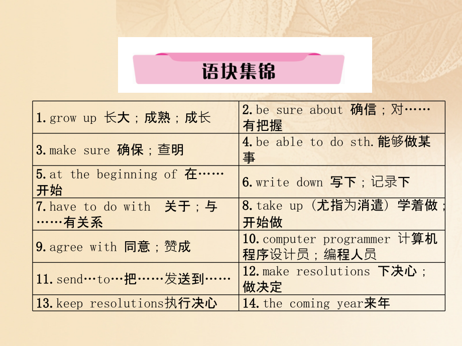 云南专版中考英语特训复习第1编教材知识梳理篇八上Units6-10讲义.ppt_第2页