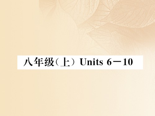云南专版中考英语特训复习第1编教材知识梳理篇八上Units6-10讲义.ppt