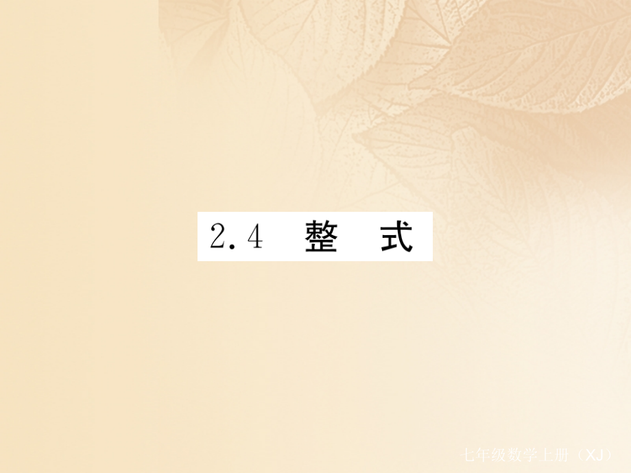 2019-2020学年七年级数学上册2.4整式教案湘教版.ppt_第1页