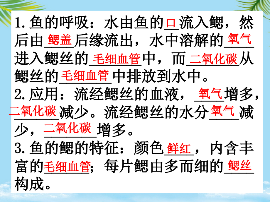 八级上册生物期中复习.ppt_第1页