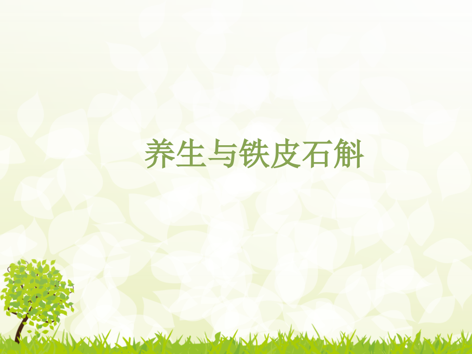 养生与铁皮石斛图文.ppt_第1页