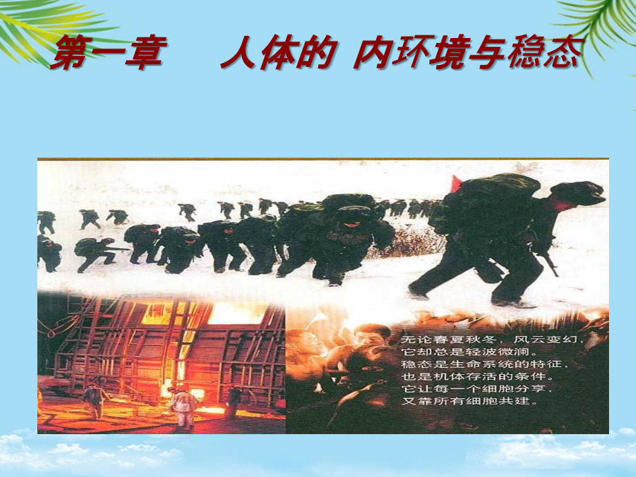 生物必修人教新课标第节《细胞生活的环境》.ppt_第1页