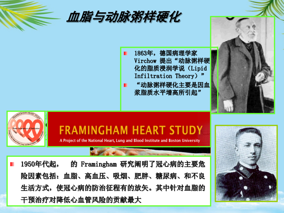 血脂异常的危险分层与治疗李广镰.ppt_第2页