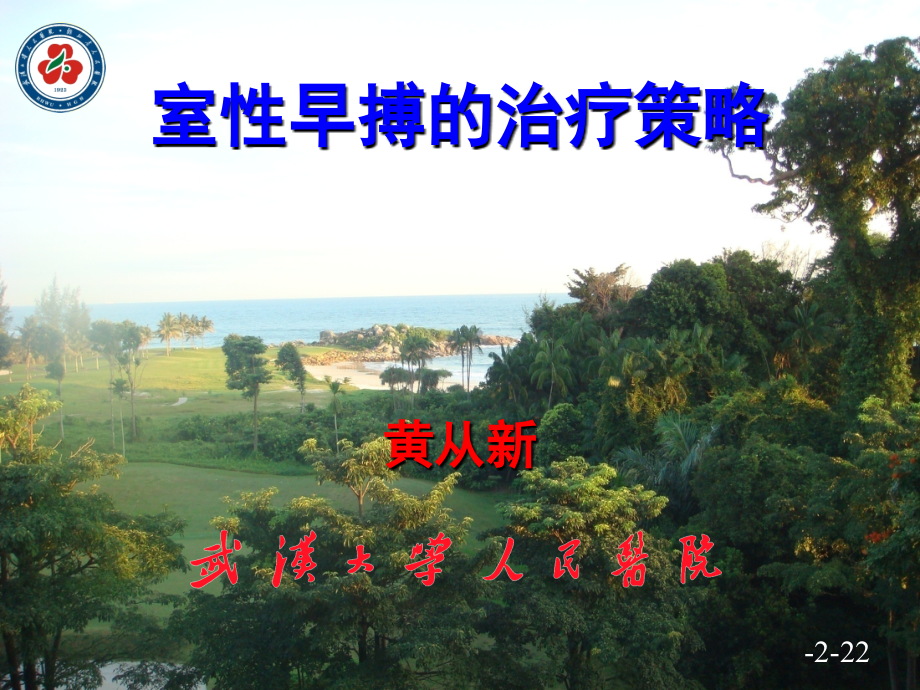 室性早搏的治疗策略.ppt_第1页