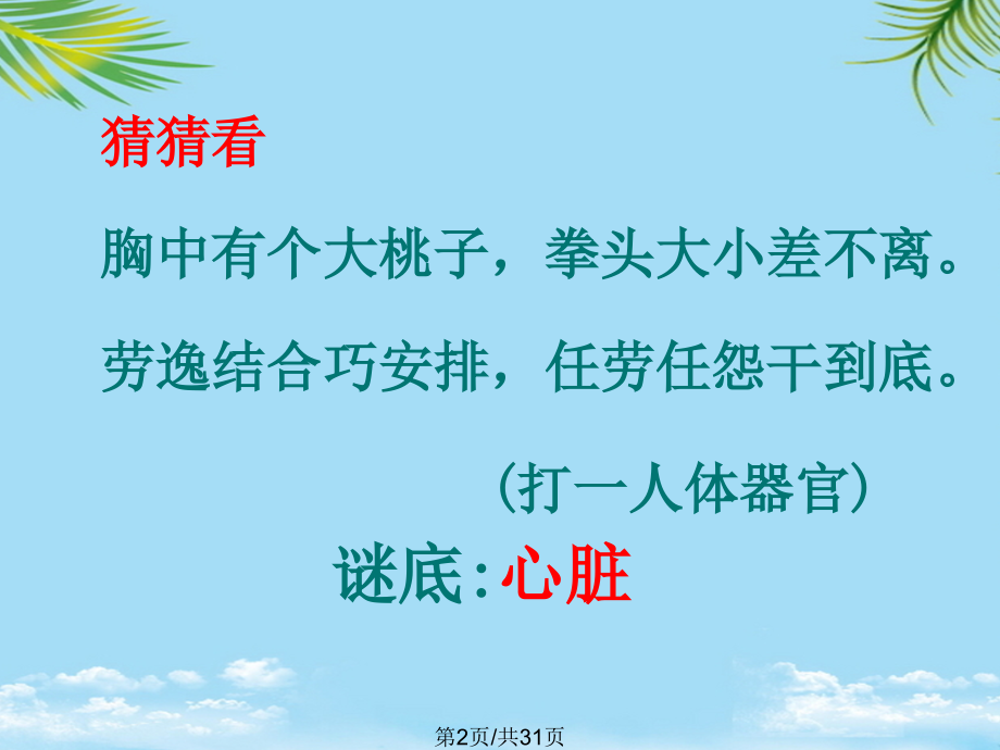 输送血液的泵—心脏.pptx_第2页