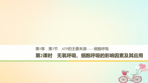 高中生物第五章细胞的能量供应和利用第3节第二课时无氧呼吸、细胞呼吸的影响因素及其应用课件新人教版.ppt
