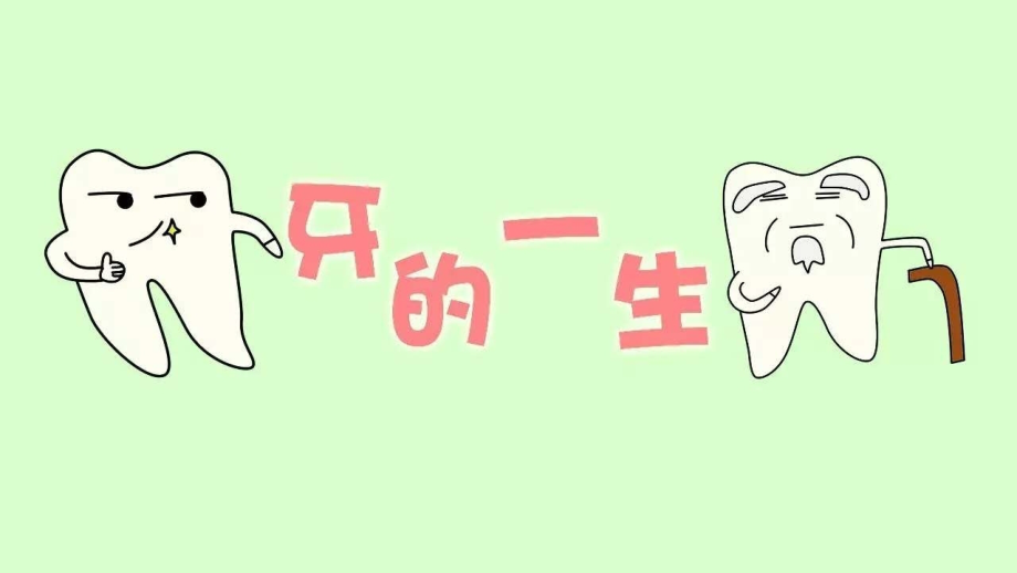 青少年口腔健康知识.pptx_第2页