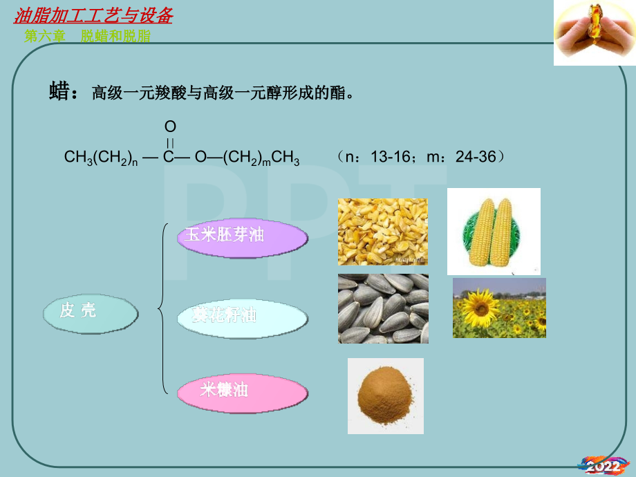 油脂加工工艺与设备培训课件.pptx_第2页