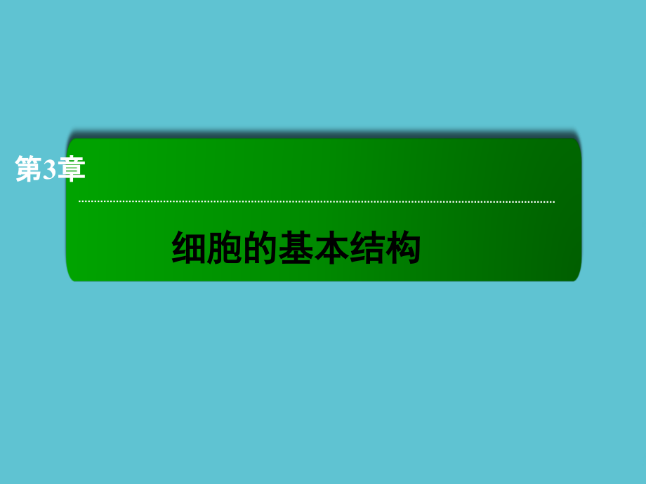 高中生物-细胞膜系统的边界.ppt_第2页