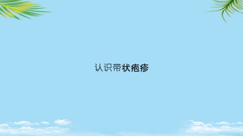 认识带状疱疹.ppt