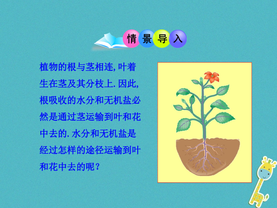 2019-2020学年七年级生物上册5.5运输作用讲义北师大版.ppt_第2页