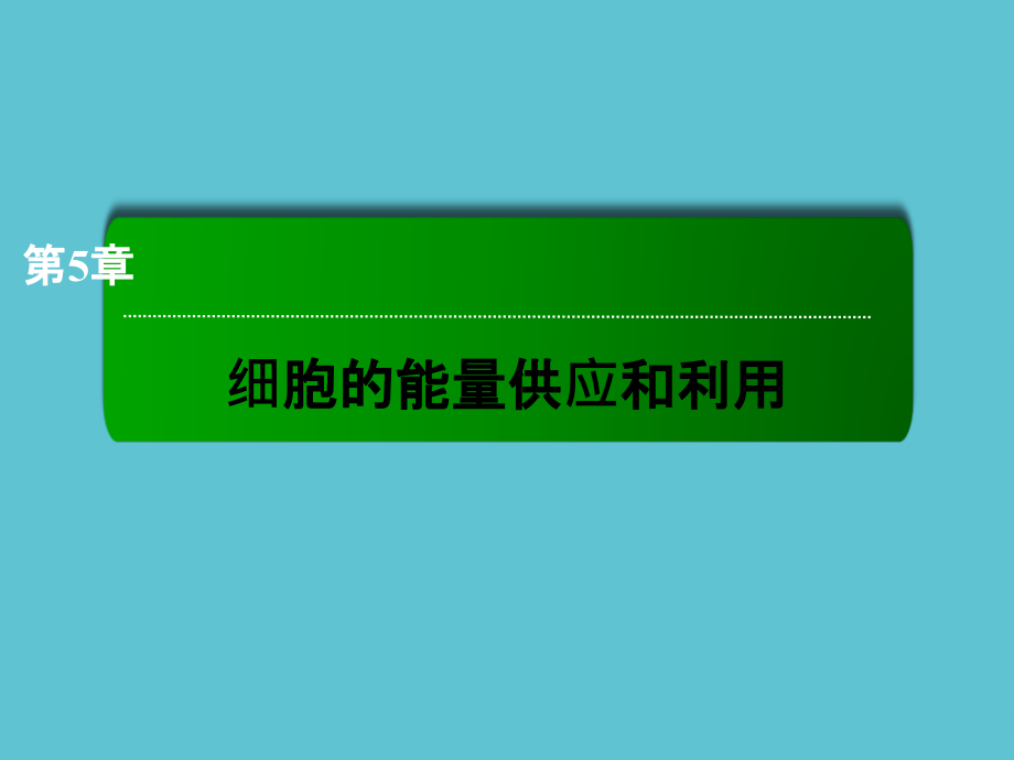 高中生物--细胞的能量供应和利用章末整合与评估.ppt_第2页