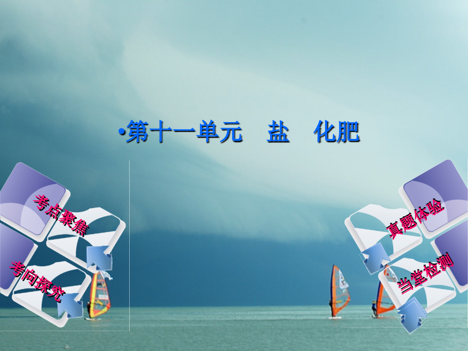2019届安徽专版中考化学复习第十一单元盐化肥讲义.ppt_第1页